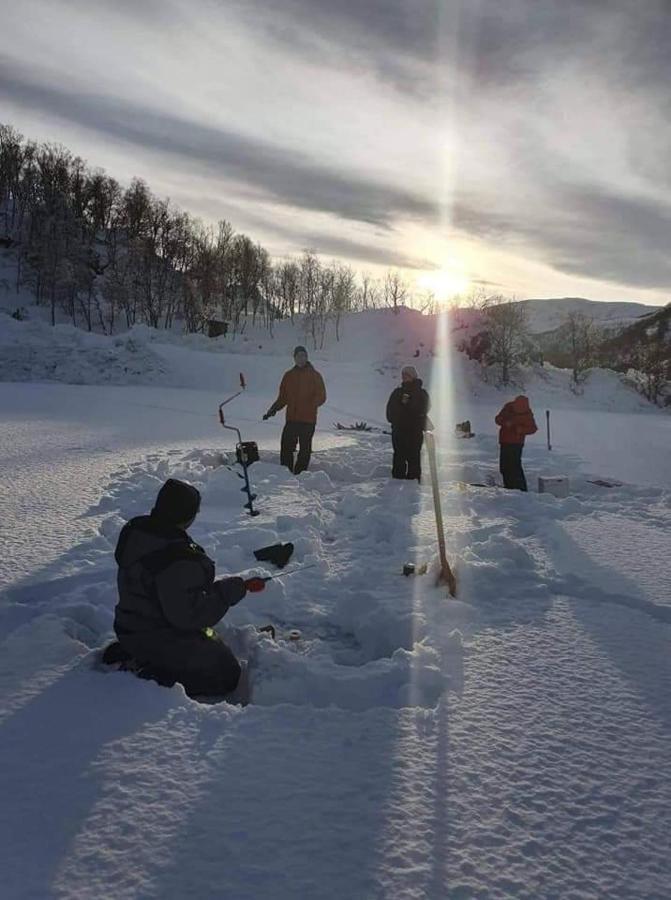 Senja Arctic Lodge Stonglandseidet 외부 사진
