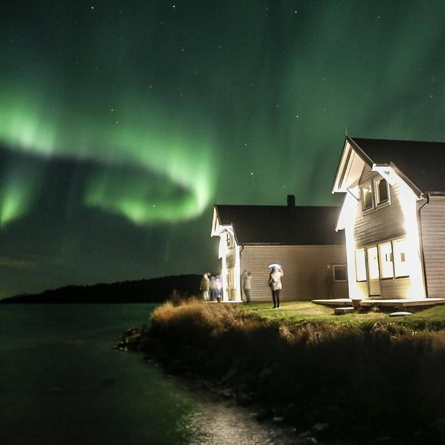 Senja Arctic Lodge Stonglandseidet 외부 사진